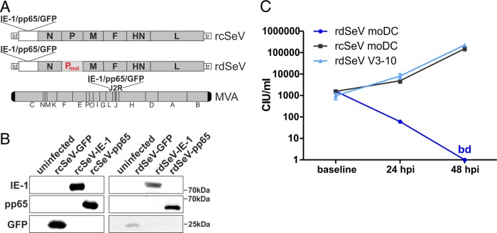 FIG 1