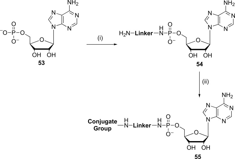 Fig. (13)