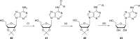 Fig. (11)