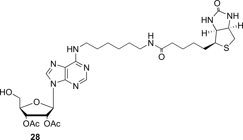 Fig. (7)