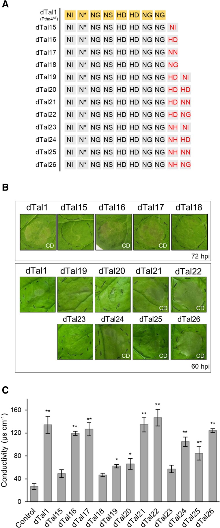 Figure 3.