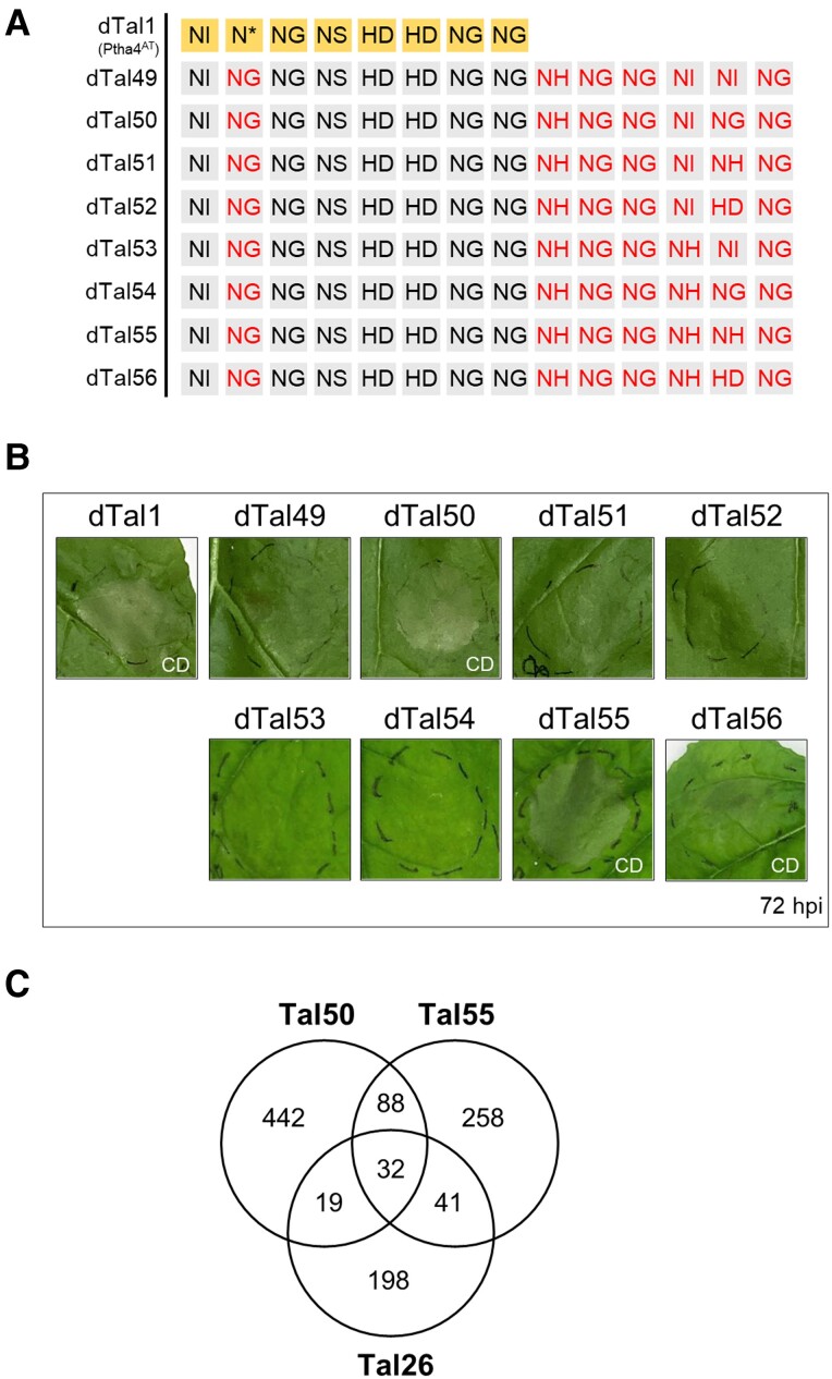 Figure 5.