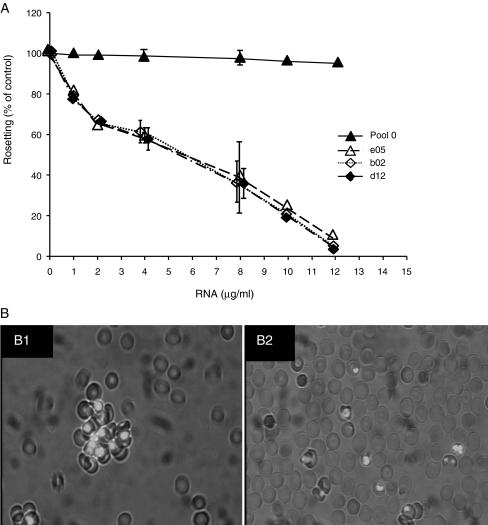 Fig. 7