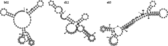 Fig. 3