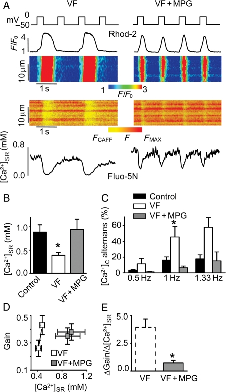 Figure 6