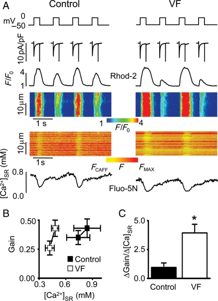 Figure 2