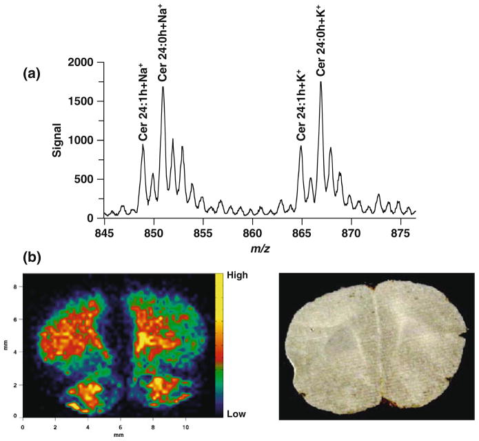 Fig. 5.7