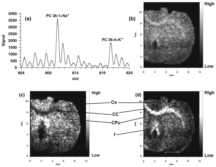 Fig. 5.6