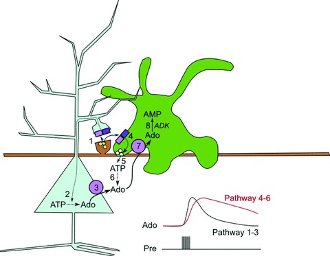 Figure 10