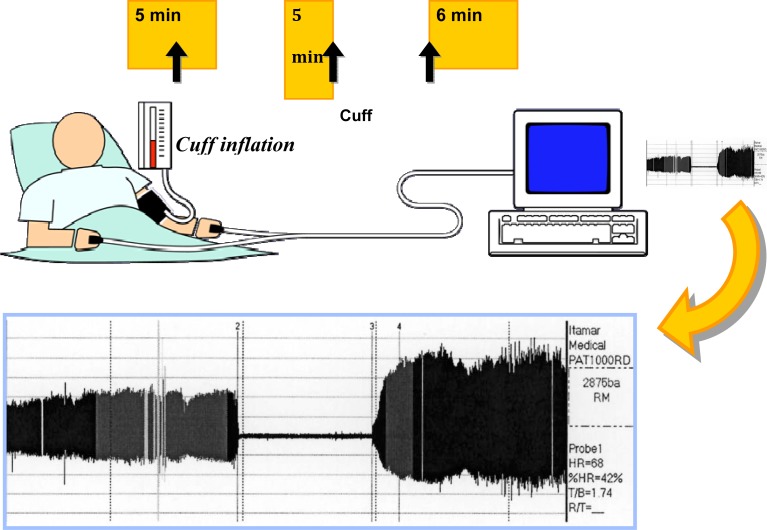 Figure 3B.