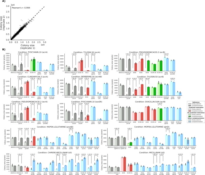 Figure 5—figure supplement 1.