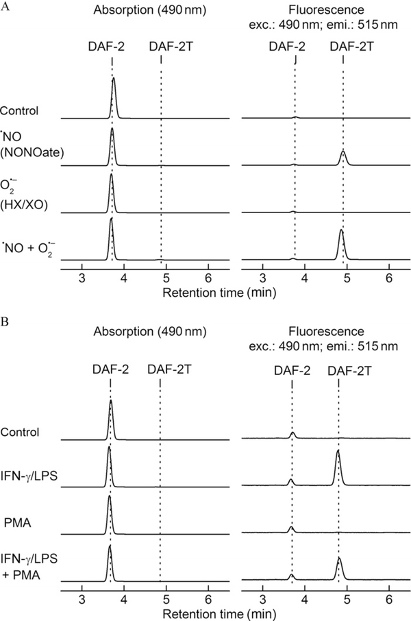 Figure 9.6