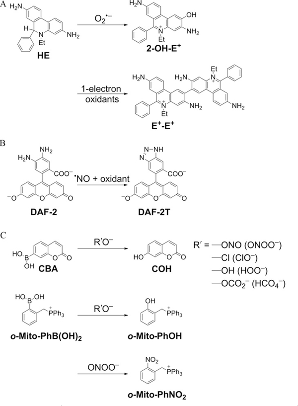 Figure 9.1