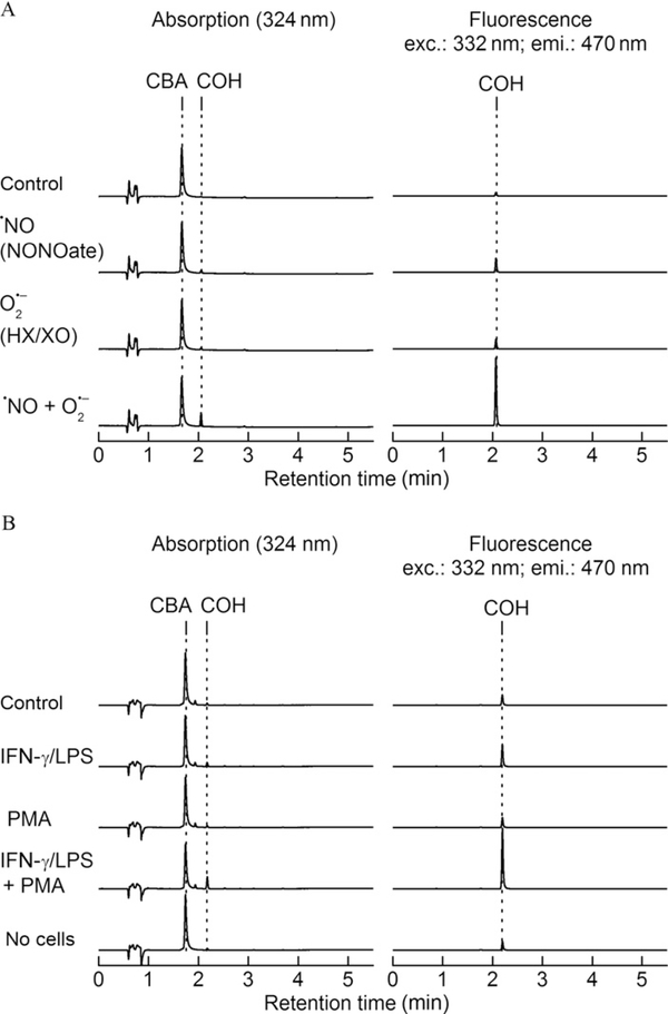 Figure 9.5