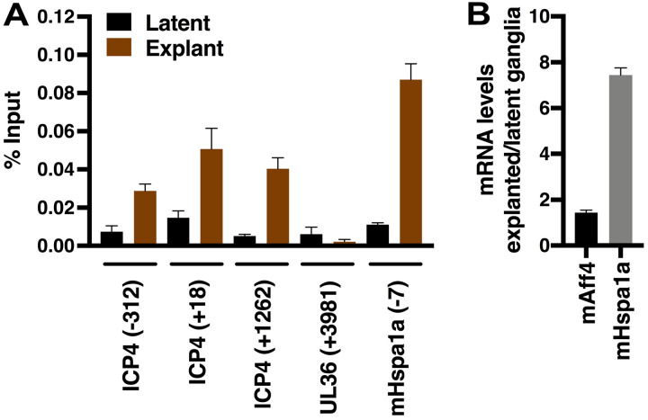 FIG 6