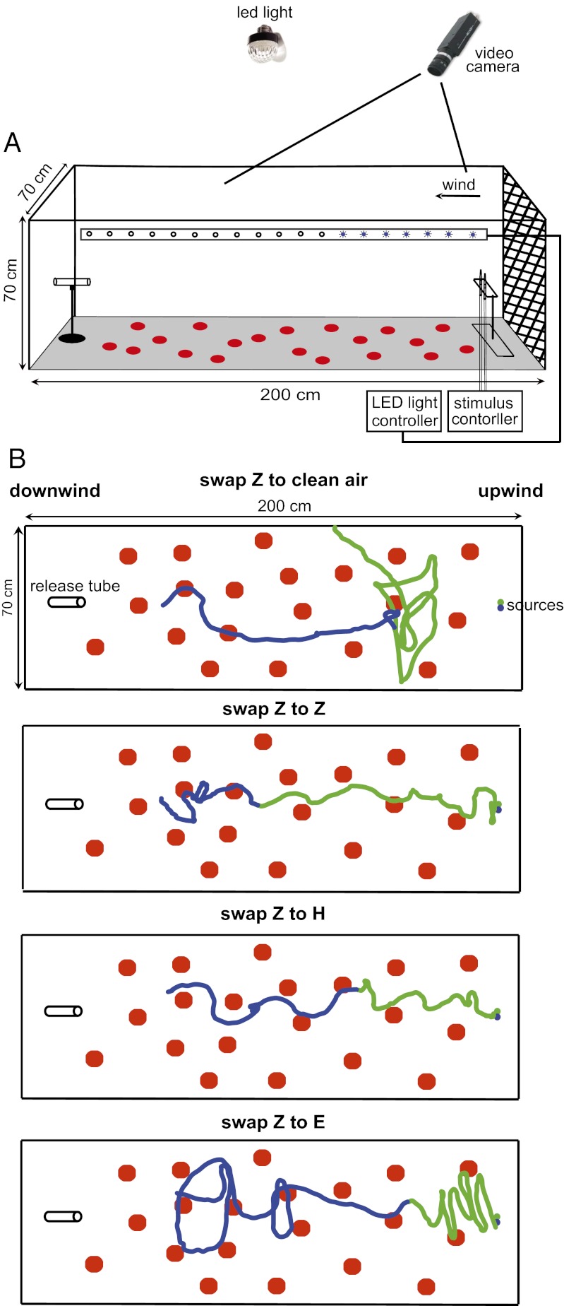 Fig. 1.