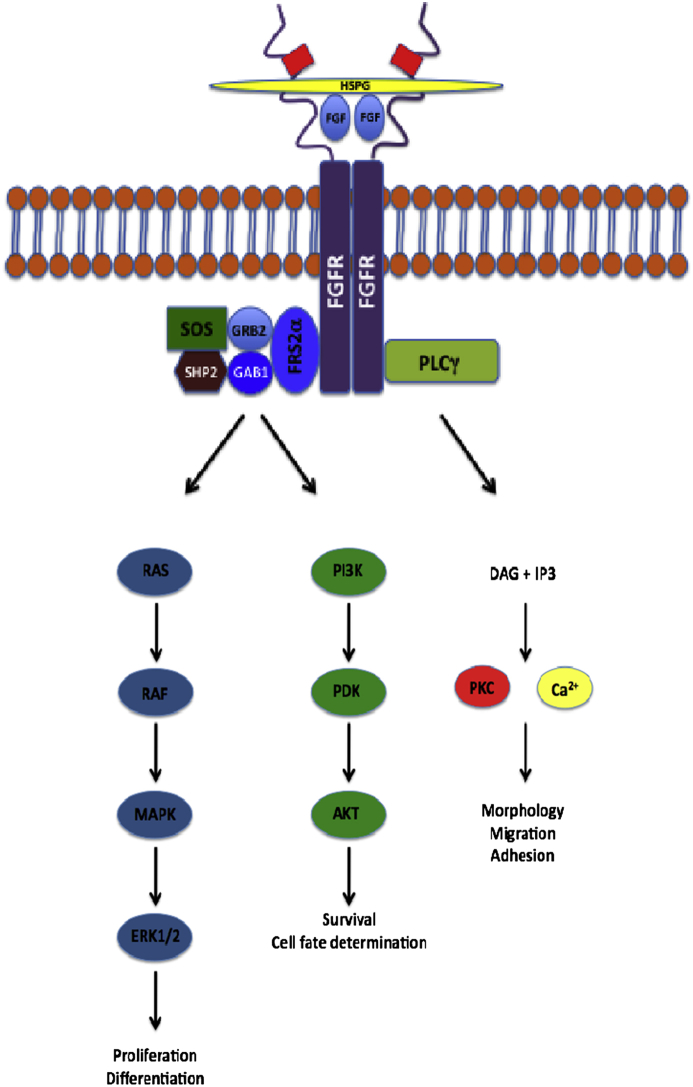 Figure 1