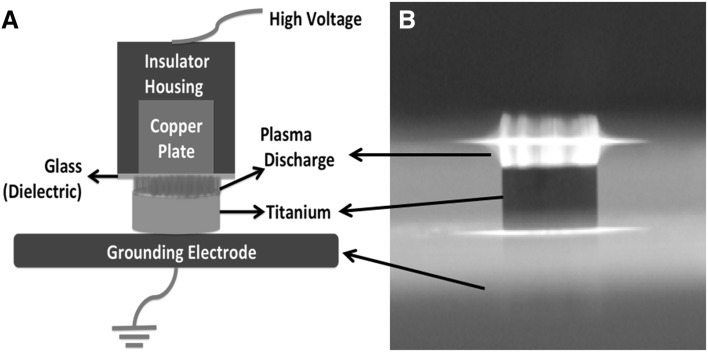 Fig. 1