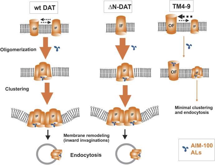 Figure 10