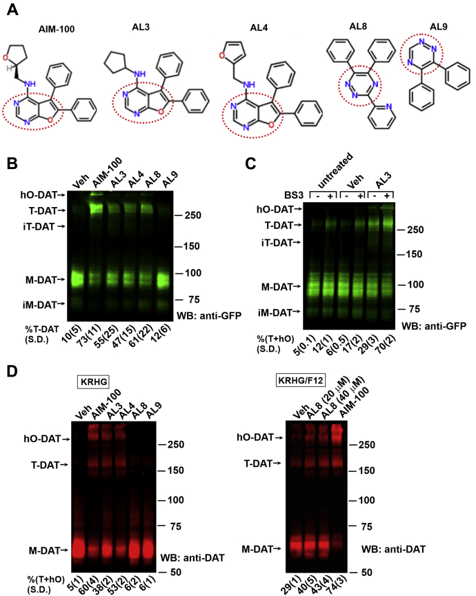 Figure 1