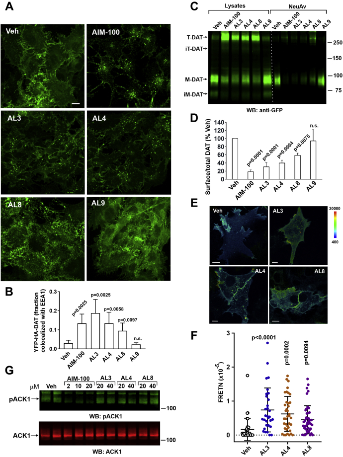 Figure 2