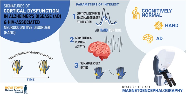 Graphical abstract