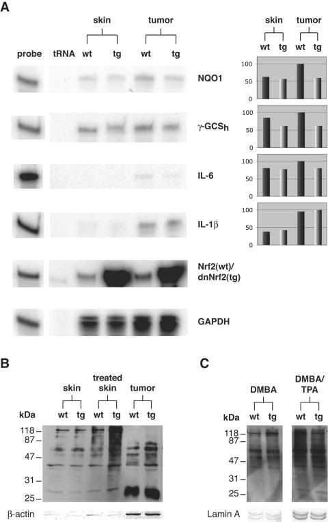 FIG. 6.