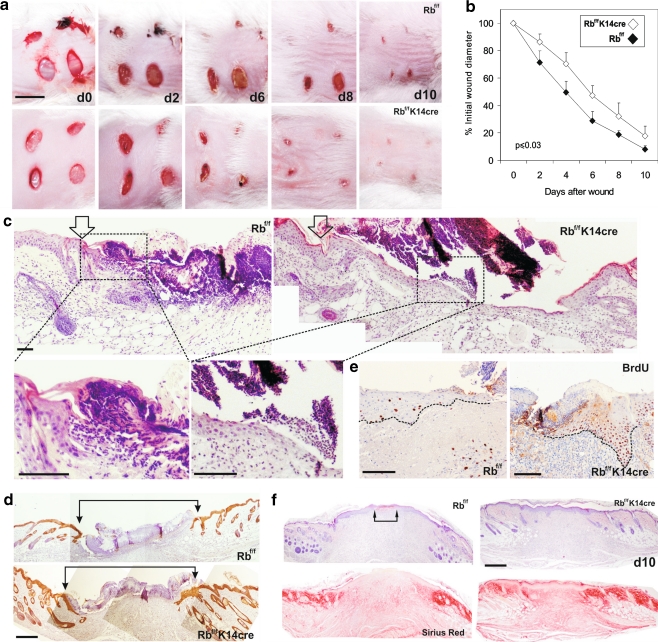 Fig. 7