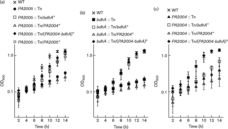 Fig. 1.