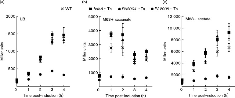 Fig. 4.