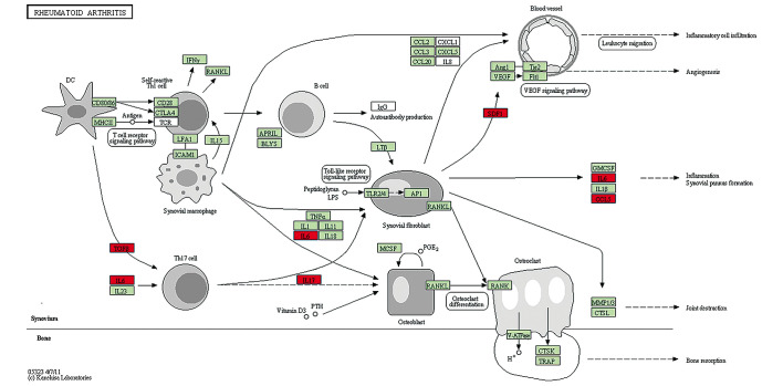 Figure 5.