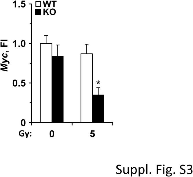 Fig S3