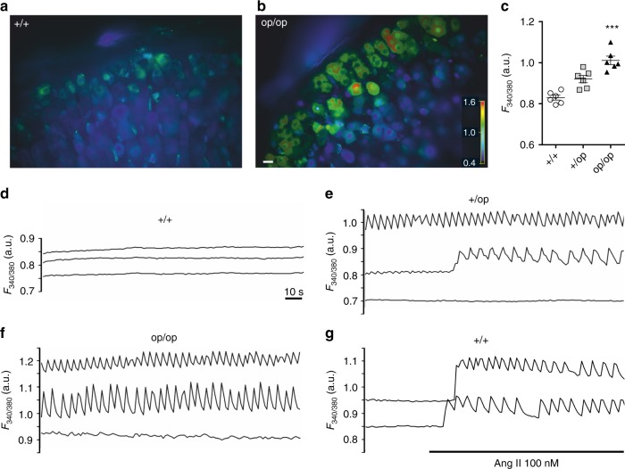 Fig. 4