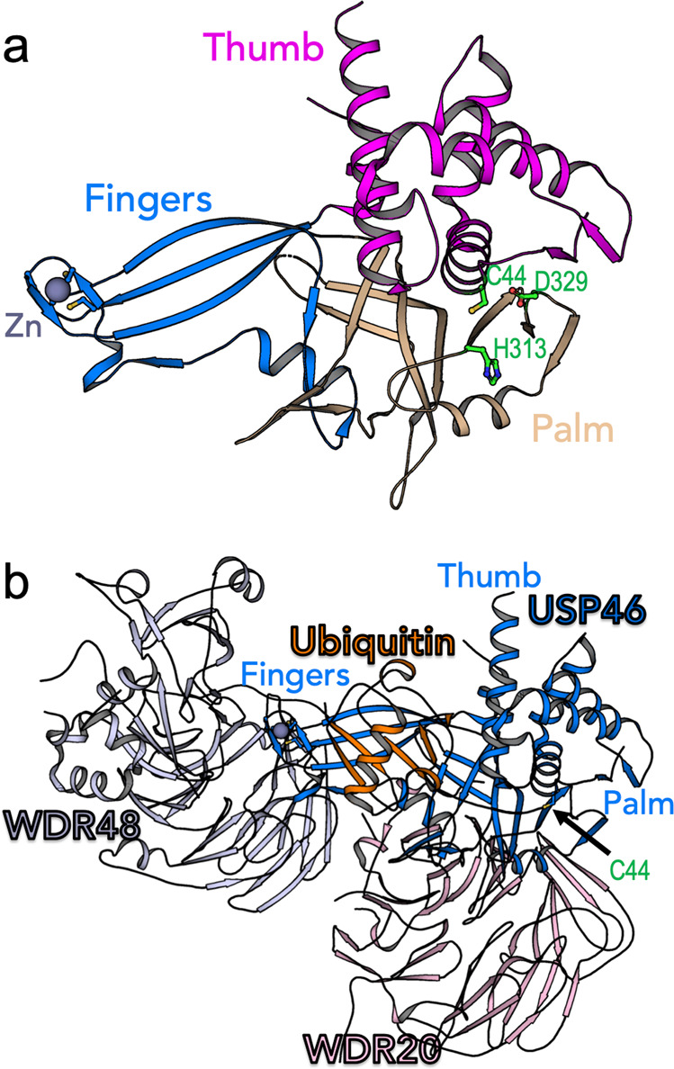 Fig. 3