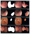 Fig. 2