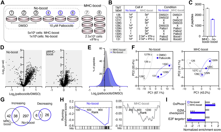 Fig 2