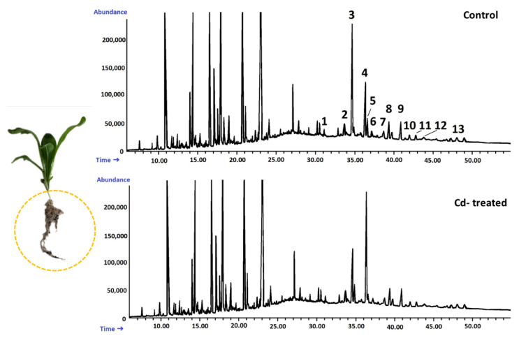 Figure 16