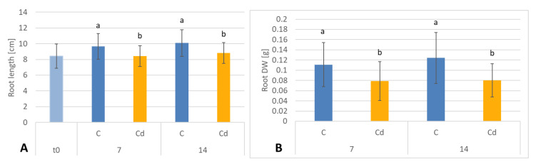 Figure 13