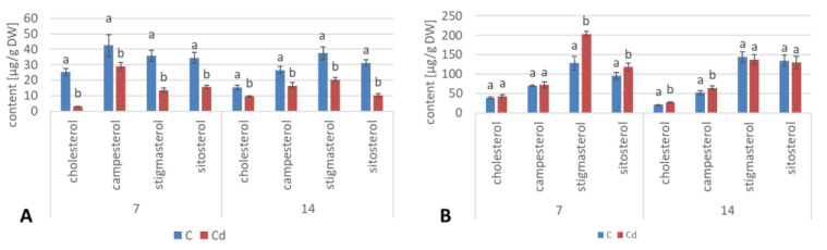 Figure 21