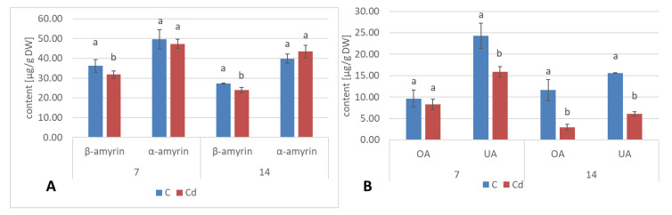 Figure 24