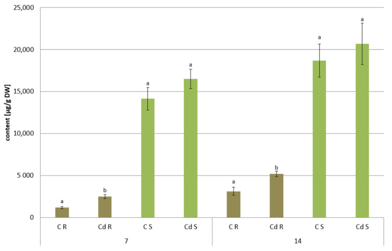 Figure 23