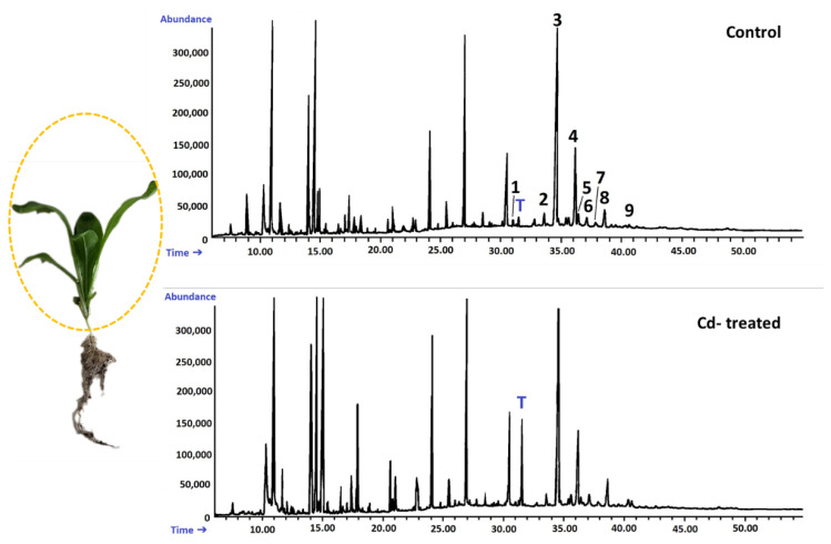 Figure 19