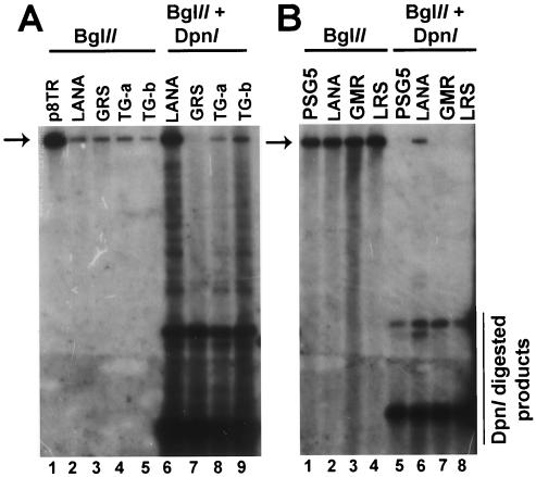 FIG. 5.