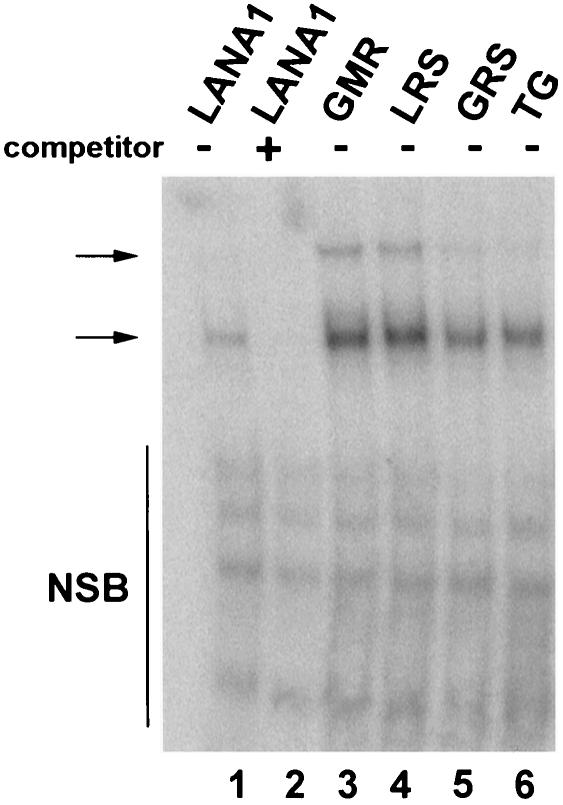 FIG. 6.