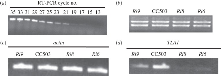 Figure 4.