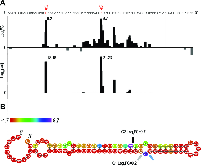 Figure 2.