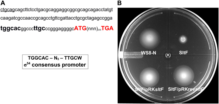 FIG 1