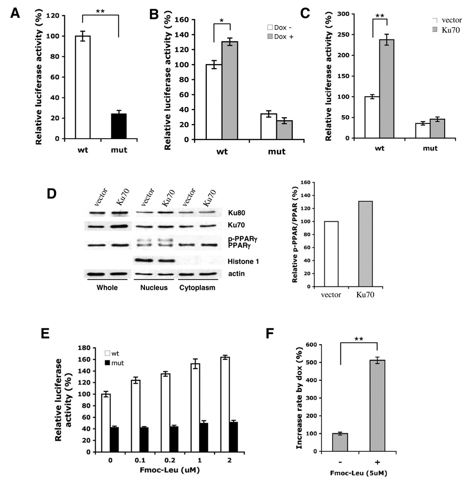 FIG. 6