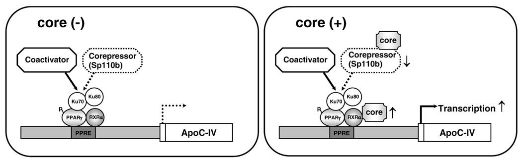 FIG. 9