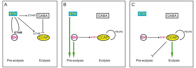 Figure 10.